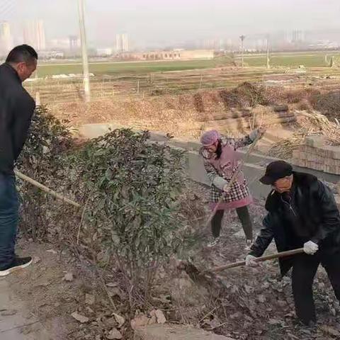 伊洛街道积极开展"全面提升农村人居环境水平干干净净迎新春"活动