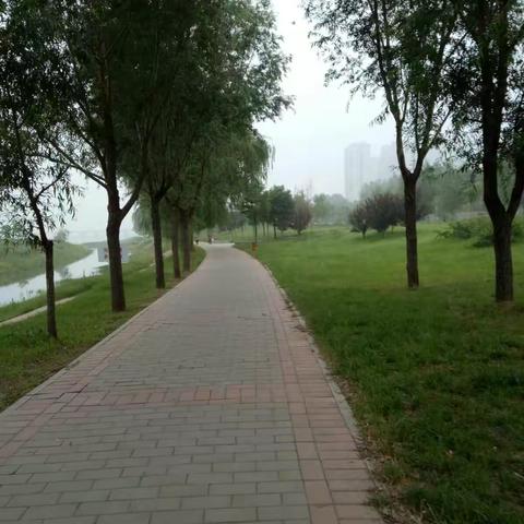 美丽的洛河堤勤劳的劳动者