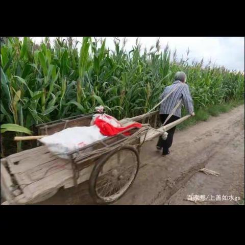 拉板车