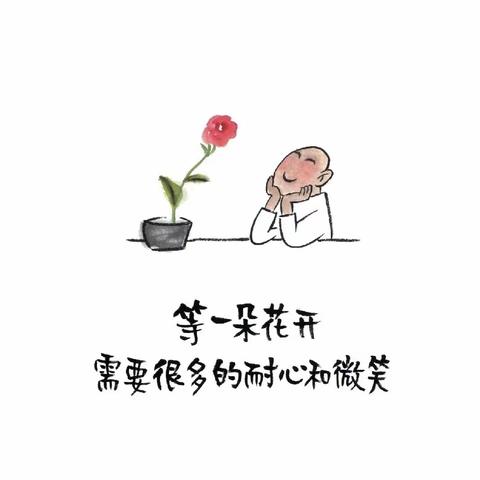 等一朵花开需要很多的耐心和微笑