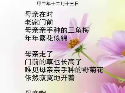 纪念母亲