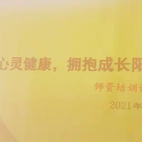 潮阳区灶浦中学举办心理健康教育师资培训会