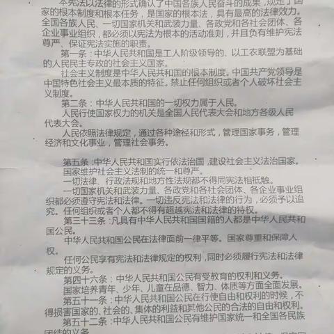 宪法在我心中