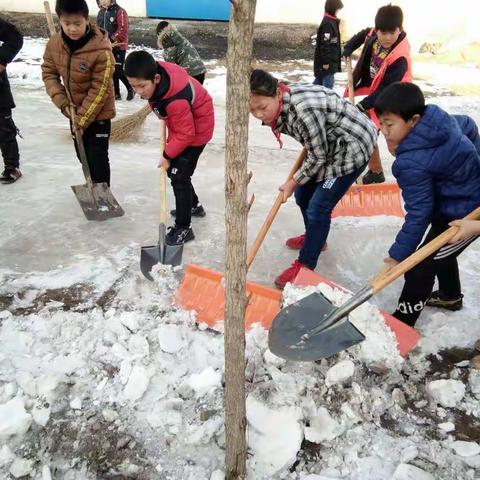 我校学雷锋志愿服务系列活动从2018年3月5日开始启动至2018年三月万1日结束