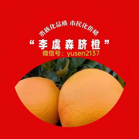 来自长寿小山窝的“李虞森脐橙”