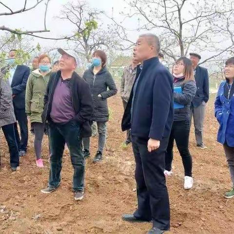 “点赞富平最美科技工作者”——冯锁牢