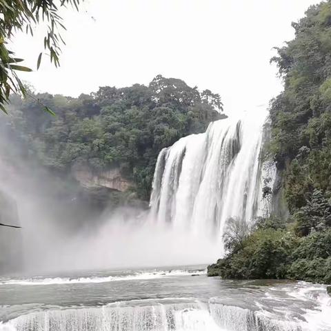 赣州苗家黄果树