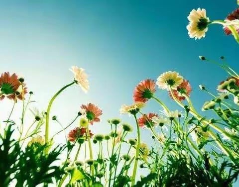 别样家访暖人心