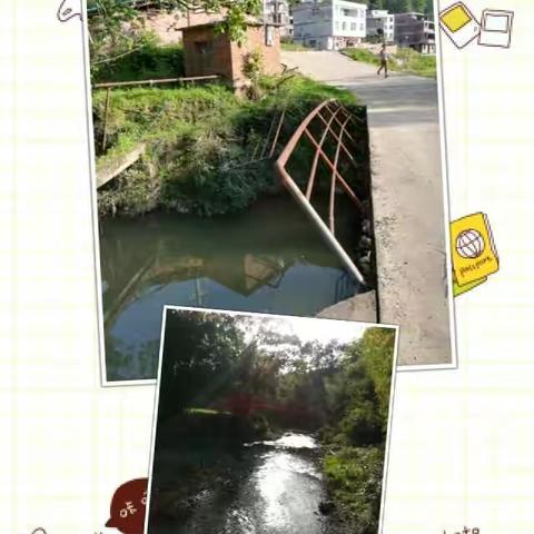 花样年华，别为溺水停下--记洋迳小学万师访万家防溺水宣传