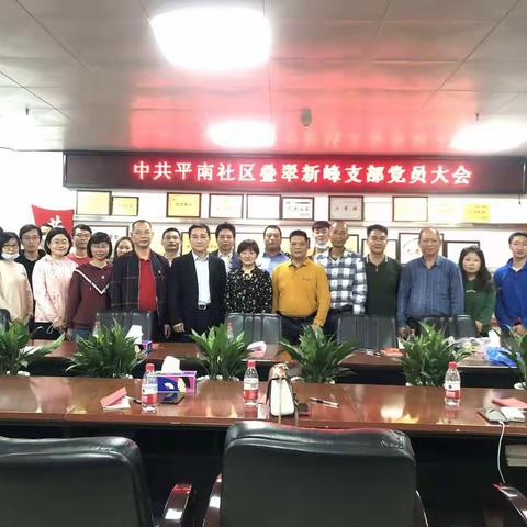叠翠新峰党支部2020年度党建工作总结暨2021年党支部换届大会