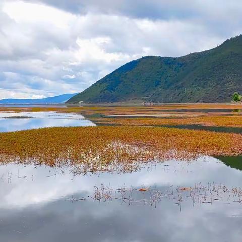 《纳帕海依拉草原》