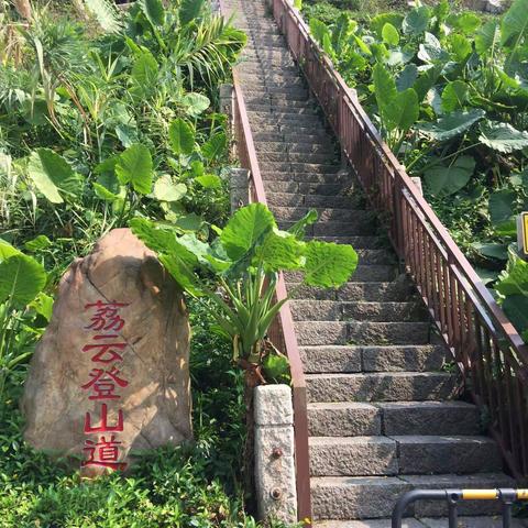 塘朗山徒步