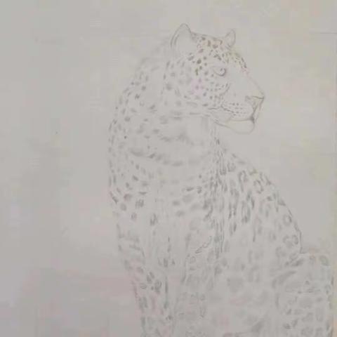 彩铅画