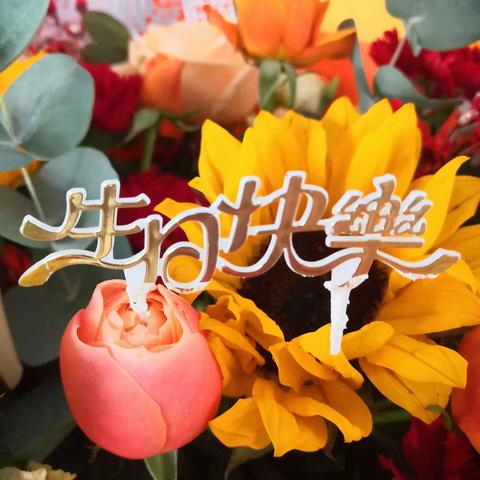 七十载与共和国