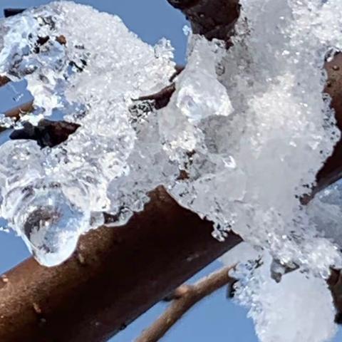 23年第一场大雪好漂亮呀