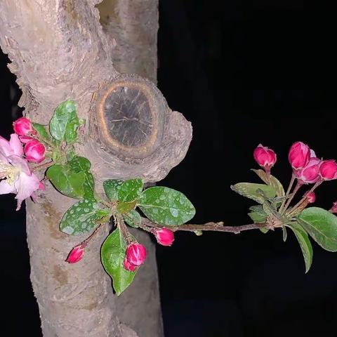 随拍部分照片