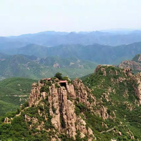 七律组诗·东风吹雨待花开