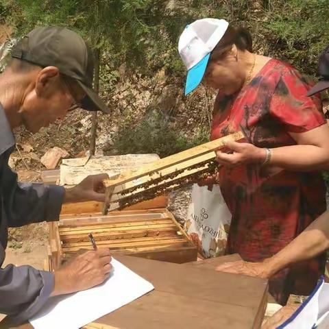 宽城职教中心组织养蜂专业辅导课