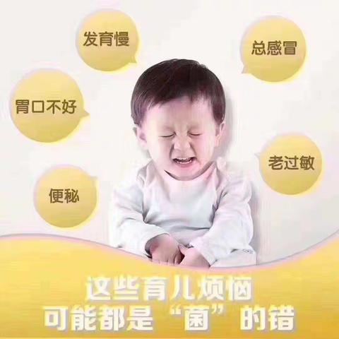 儿童益生菌