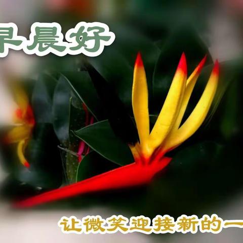 大学同学亲自拍摄，亲自制作的精美图片！每天都给同学们送去清晨的问候：早上好！