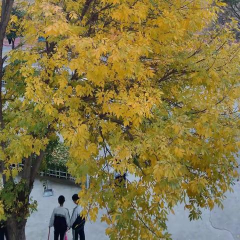 风华正茂美少年，学海无涯勇争流——馆驿一中初三级部举行期中考试表彰大会