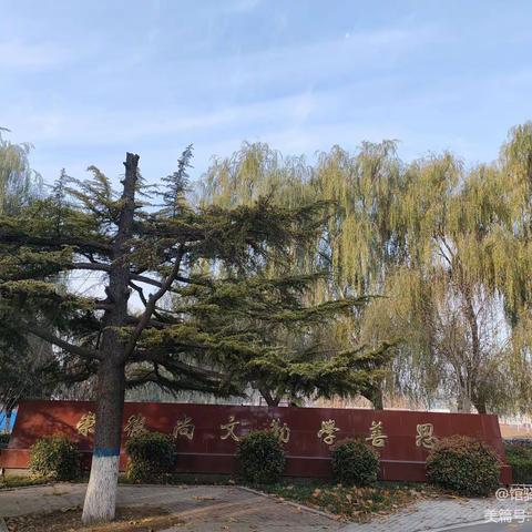 扬帆起航正当时，砥砺前行谱新篇一2022-2023学年上学期馆驿一中期中考试质量分析会