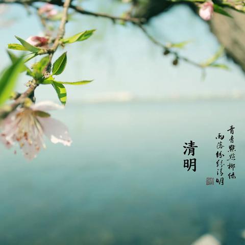 清明时节乐趣多—潍坊市机关幼儿园凤翔园中七班