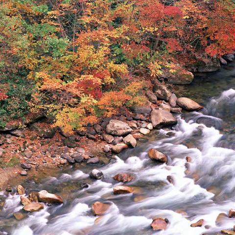 每条溪流都将奔向大海