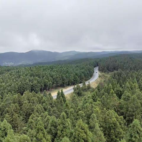 家长的风景