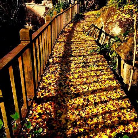 安·大别山的美篇