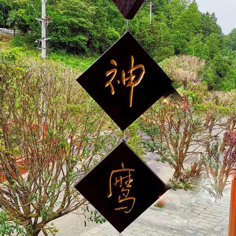 安大别山的美篇