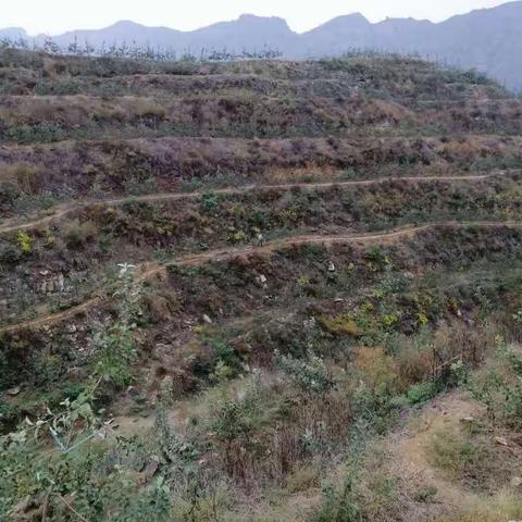 强化水保建设   助力绿水青山