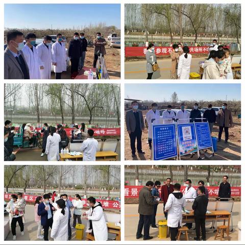 万亩梨花盛开，喜迎八方宾朋——东代固镇全力做好各项服务工作