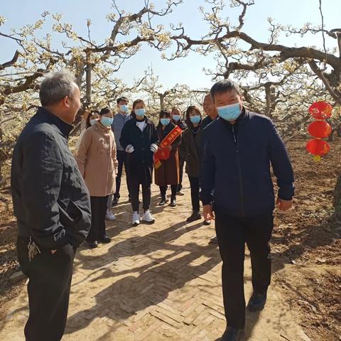 东代固镇做好梨花盛开期间各项准备工作