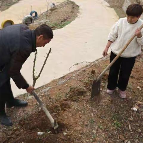 多举措扎实推进植树绿化工作