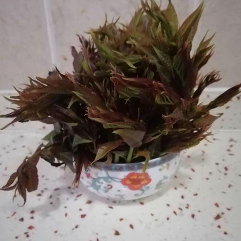 香椿芽的吃法之一~炸香椿