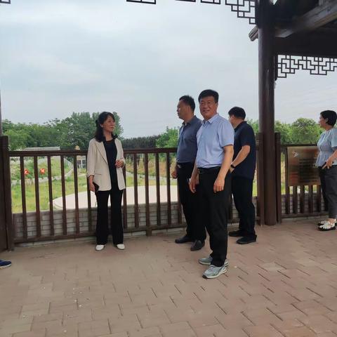区委副书记高大雁调研高龙镇人居环境整治工作