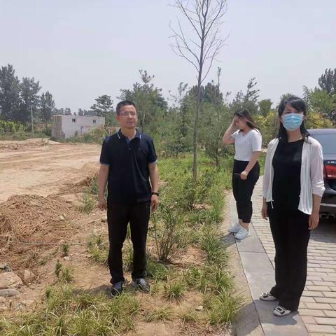 区委副书记高大雁调研翟镇镇人居环境整治工作