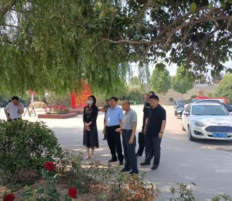 副区长申俊涛督导高龙镇人居环境整治工作