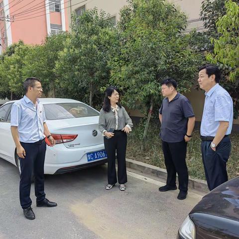 区委副书记高大雁调研人居环境整治工作