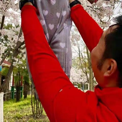 宝宝第一次在康健樱花大道上观赏美丽的樱花