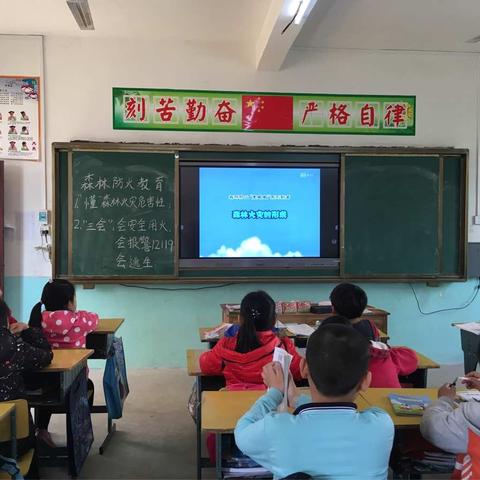 陆洪小学森林防火教育活动