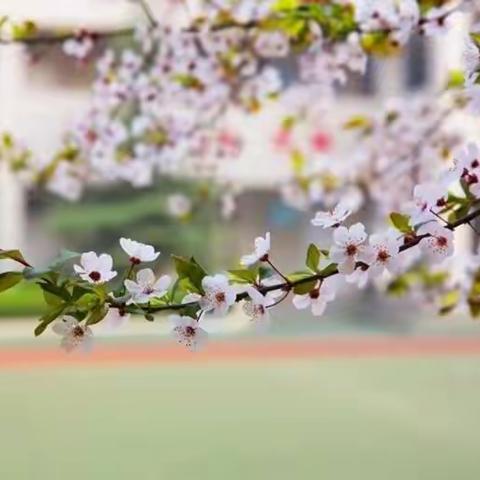 学研并重 减负增效——西安益新中学“学教评一致性”同课异构研讨课系列活动第二期采撷