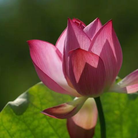 喜迎二十大   一起向未来—西安益新中学2023届红色经典诵读暨世界读书日展评活动（下）