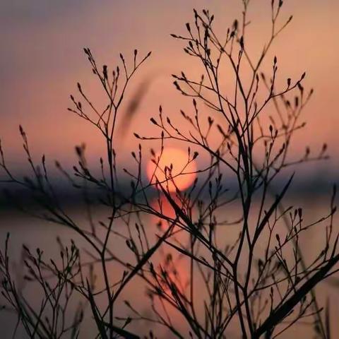 夕阳西下，日子如常