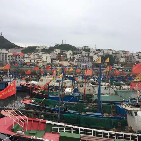 细雨中驴游枸杞岛