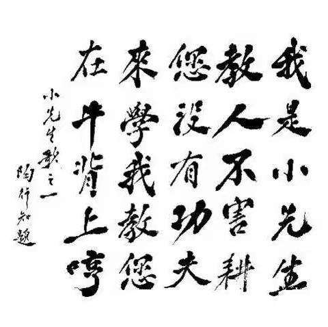 你身边的“小先生们”