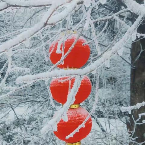 冰雪金华山