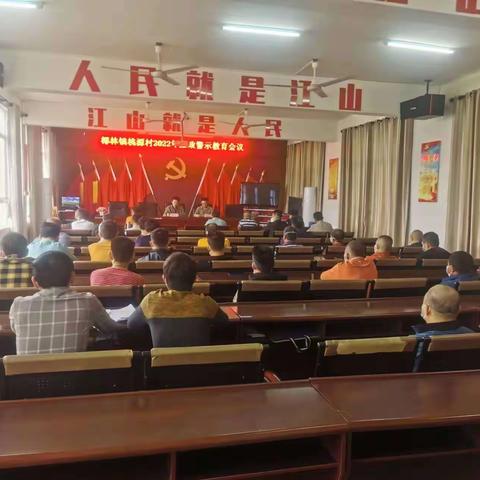 桃源村开展警示教育活动，助力清廉自贸港建设