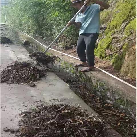 推进人居环境整治，建设美丽宜居乡村